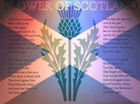 Flower of Scotland lyrics | Ecosse, Grs