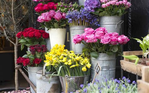 4 of the Most Photogenic Flower Shops in London - London Perfect