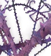 Category:Images of Hermit Purple - JoJo's Bizarre Encyclopedia | JoJo Wiki