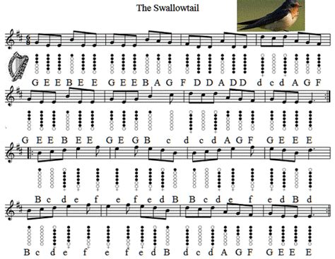 The Swallowtail Jig Tin Whistle Sheet Music - Irish folk songs