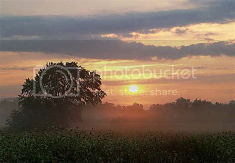 Meadow Sunrise, Summer Morning Photo by lugi56 | Photobucket