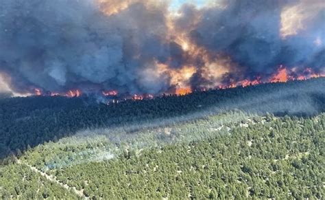 Wildfire-Ravaged Canada Province Saw "12,000 Lightning Strikes" In A Day