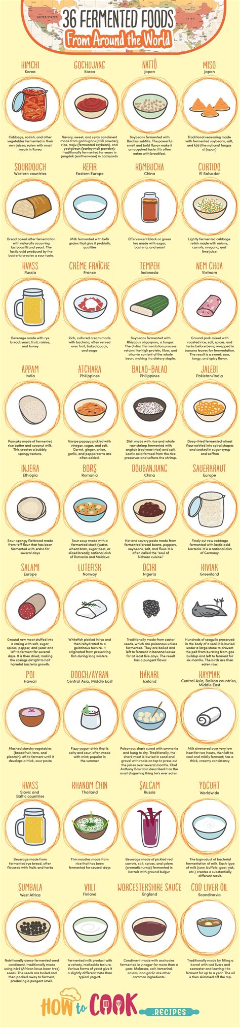 36 Fermented Foods From Around the World [Infographic]