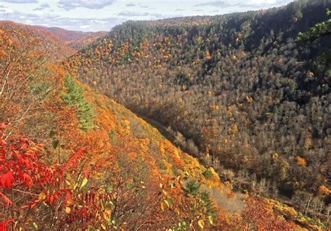 Pennsylvania's Pine Creek Gorge is grand, especially in fall | Pittsburgh Post-Gazette