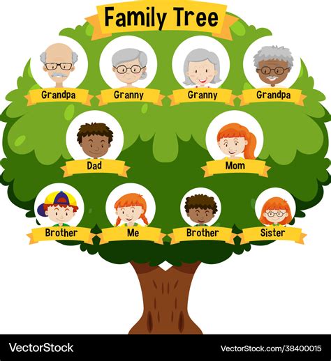 Diagram showing three generation family tree Vector Image