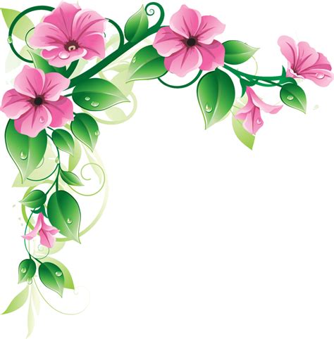 Flowers Borders PNG Transparent Images | PNG All