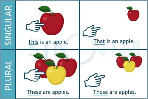 Difference between: this, that, these, those | Singular and plural, English lessons, Plurals