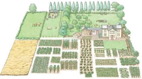 5 acre farm site plan | Your 1-acre homestead can be divided into land for raising livestock ...