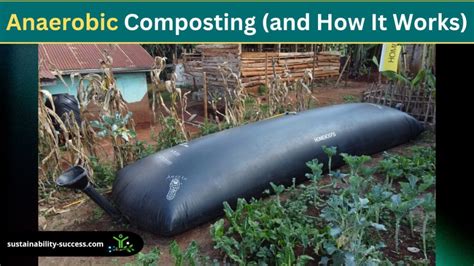 Anaerobic Composting (and How It Works)