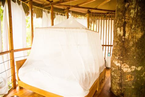 Staying at the Treehouse Lodge in Peru's Amazon Rainforest -Have Clothes, Will Travel