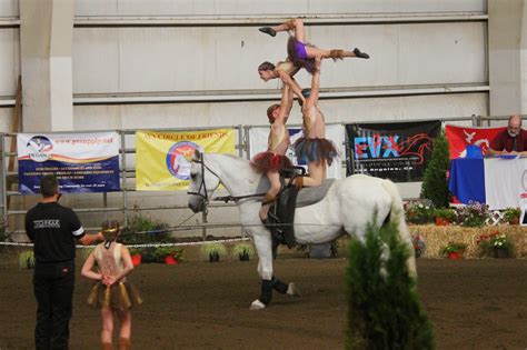 TROT TEAM - AVA Nationals - Oregon Horse Center - Eugene OR | Vaulting ...