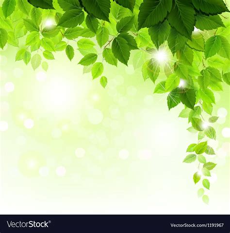 371 Background Green Leaves Images & Pictures - MyWeb