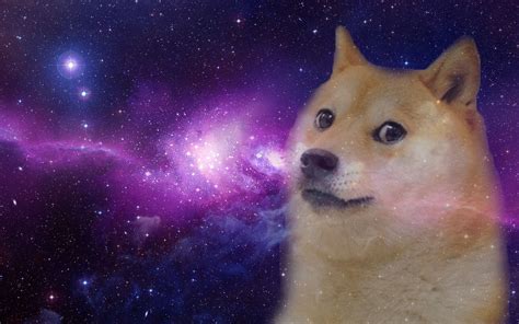 Galaxy Doge Wallpapers - Wallpaper Cave