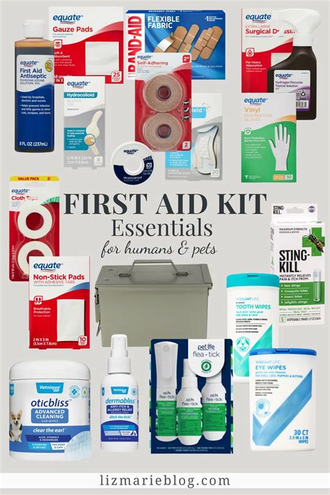 What's in Your First Aid Kit? in 2024 | First aid, Mini first aid kit ...