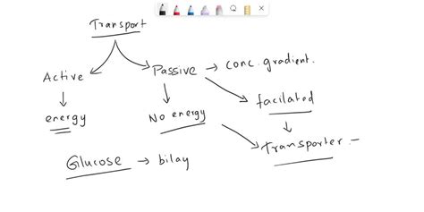 SOLVED: Cells require glucose as a source of energy to carry out life ...