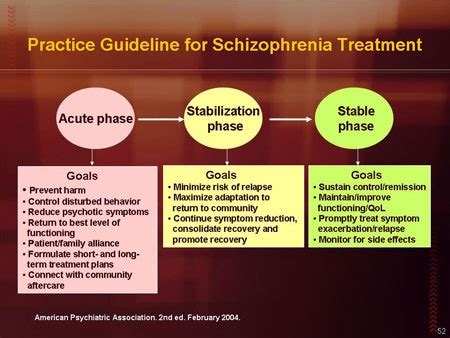 Optimizing Care for Patients with Schizophrenia: Improving Patient Adherence by Tailoring Treatment