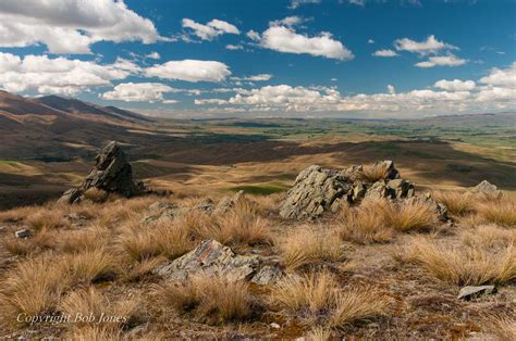 Otago Landscapes » Bob Jones Landscapes