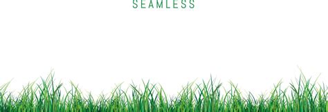 Green grass border isolated white background Vector Image