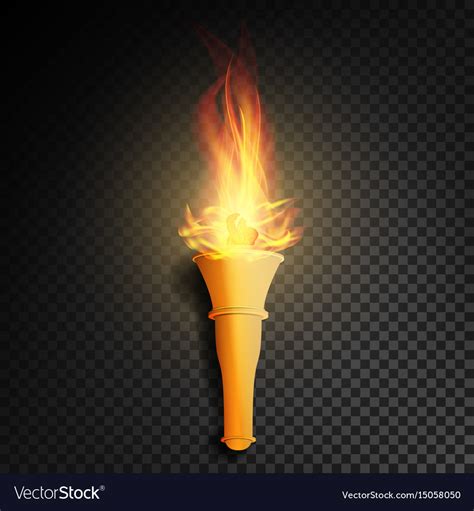 Torch with flame burning in the dark transparent Vector Image