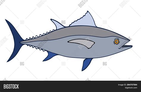 Tuna Fish Sketch Image & Photo (Free Trial) | Bigstock