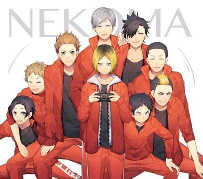 Nekoma Team | Haikyuu!! BR Amino