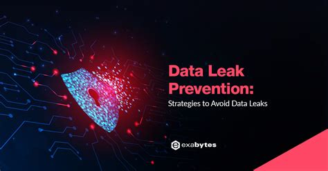 Data Leakage Prevention: Strategies to Avoid from Data Leaks