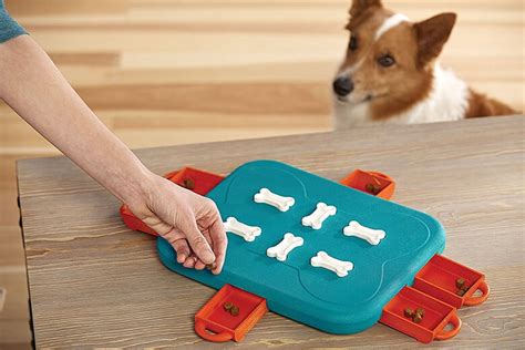 Want a Canine Einstein? Here are 8 Interactive Toys and Puzzles to Help Improve Your Dog’s IQ