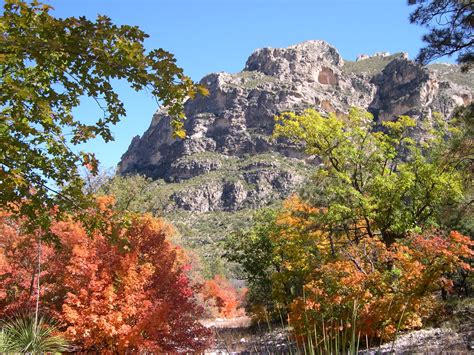 Texas Mountain Trail Daily Photo: Fall Color in Guadalupe Mountains National Park