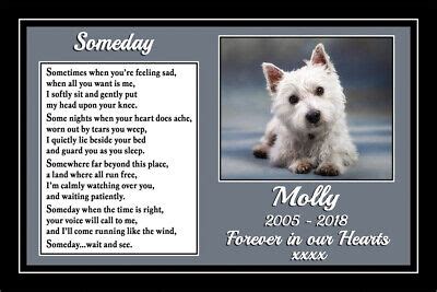 Pet Dog Memorial Personalised Gift Someday Rainbow Bridge pet loss ...