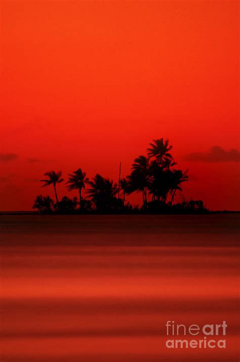 Island Sunset Photograph by Art Wolfe - Fine Art America