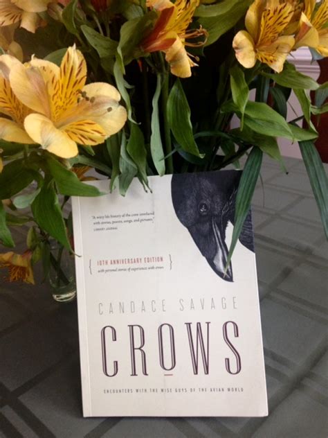 A Murder of Crows - Vivian Lawry