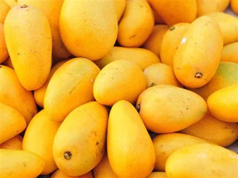 Pakistani mangoes to enter Chinese market from June 10 - Pakistan - Business Recorder