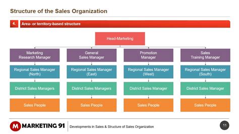 Structure of Sales organization - Sales organization structure - YouTube