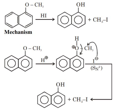 Main products formed during a reaction of 1-methyoxy napthalene with ...