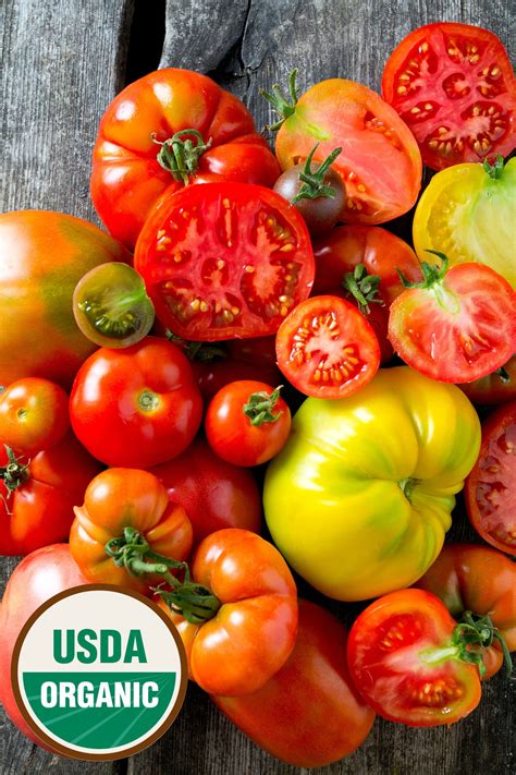 Organic Tomato Seeds — USDA Certified Heirloom Mix (100 seeds) — Rohrer Seeds