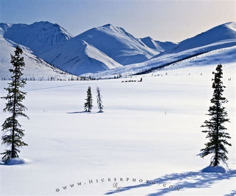 Arctic Alaska Winter Landscape | Photo, Information