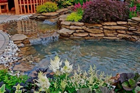 How To Keep Pond Water Clear - Water Garden Advice