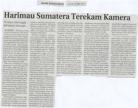 Harimau Sumatera Terekam Kamera - TFCA Sumatera