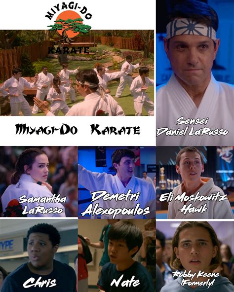 Daniel LaRusso and his Miyagi-Do students - Cobra Kai Fan Art (44240962 ...