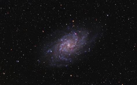 Messier 33 (Triangulum Galaxy) – Schafer Astrophotography