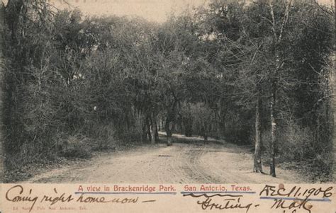 View in Brackenridge Park San Antonio, TX Postcard