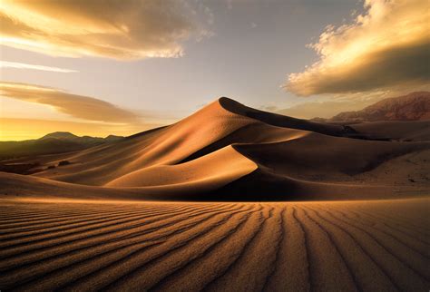 Golden Desert Sand Dunes - HD Wallpaper