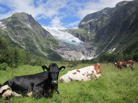 Phoebettmh Travel: (Norway) – Visit The Geirangerfjord