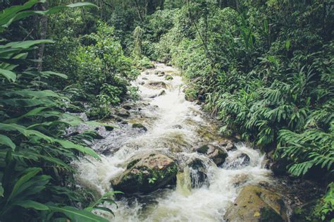 Wildlife spotting in Tambopata Nature Reserve - Paradise Yakari