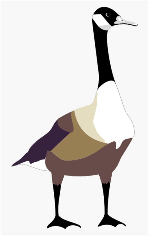 Bird Free Vector - Canada Goose Clipart, HD Png Download - kindpng