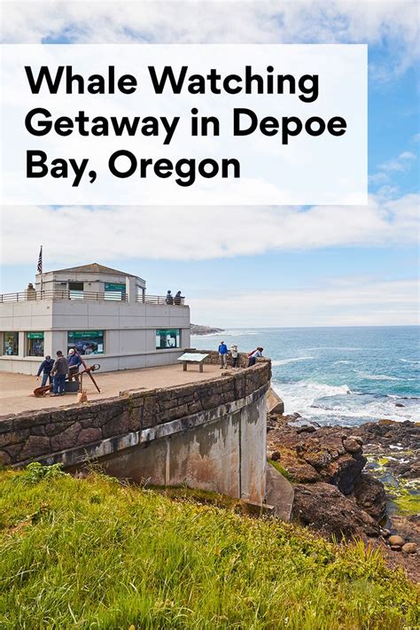 Oregon Coast Whale Watching Getaway in Depoe Bay| Via | Depoe bay, Travel oregon coast, Depoe ...