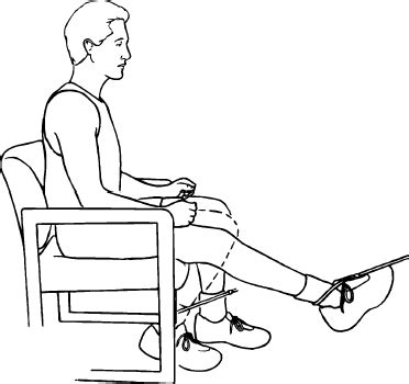 Seated Knee Flexion