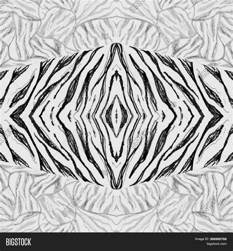 Seamless Zebra Texture Image & Photo (Free Trial) | Bigstock