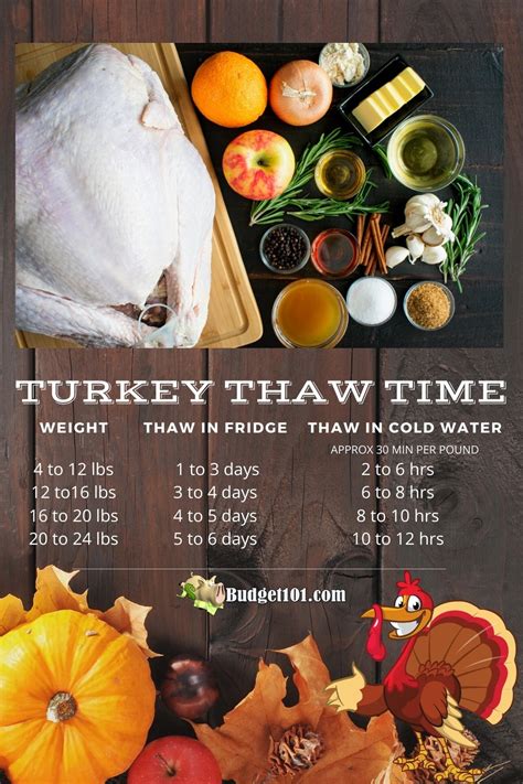 How to Thaw a Frozen Turkey Fast - Defrost a Turkey Last Minute