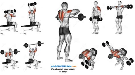 Best Shoulder Workout - 5 Exercises Explained! ~ multiple fitness